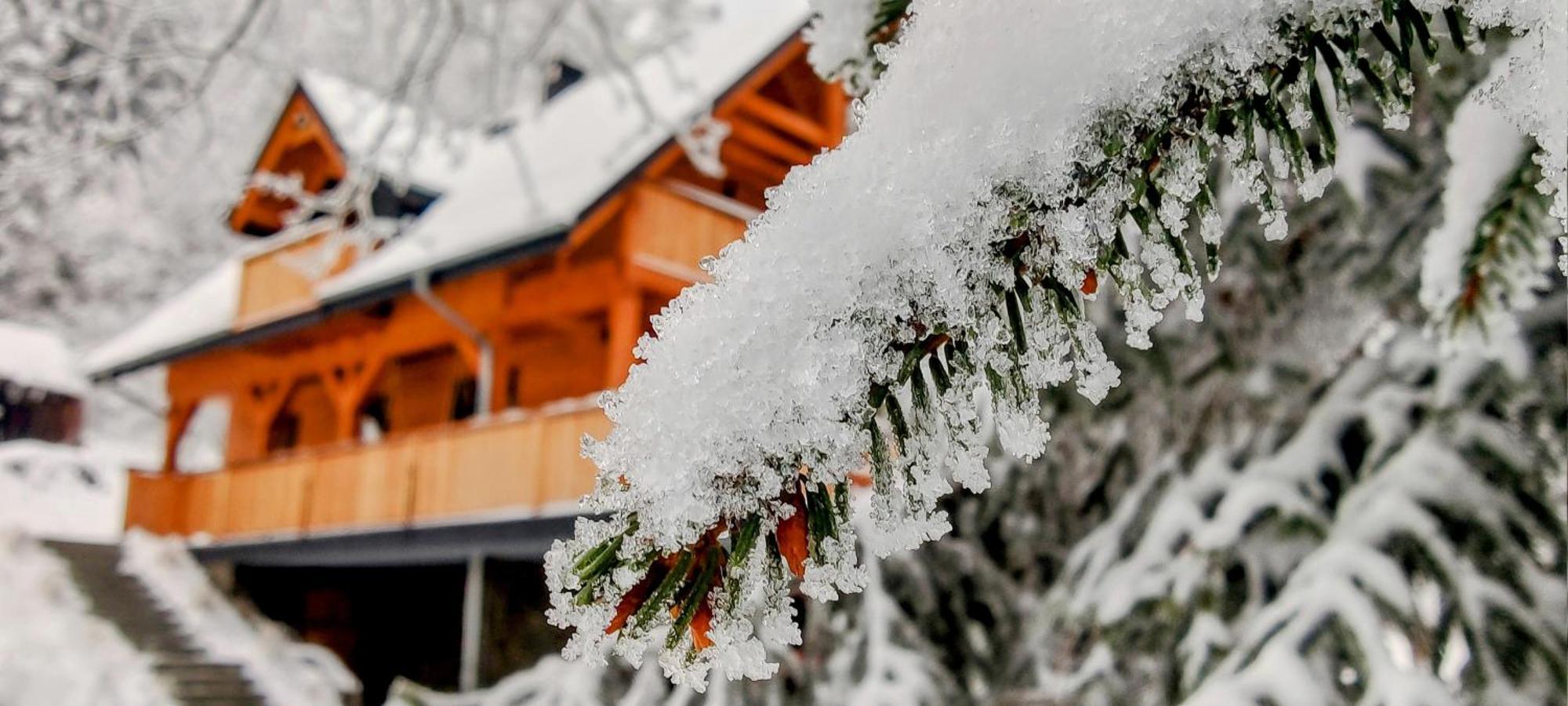 Dom Pod Lesniczowka Villa Zachelmie  Kültér fotó
